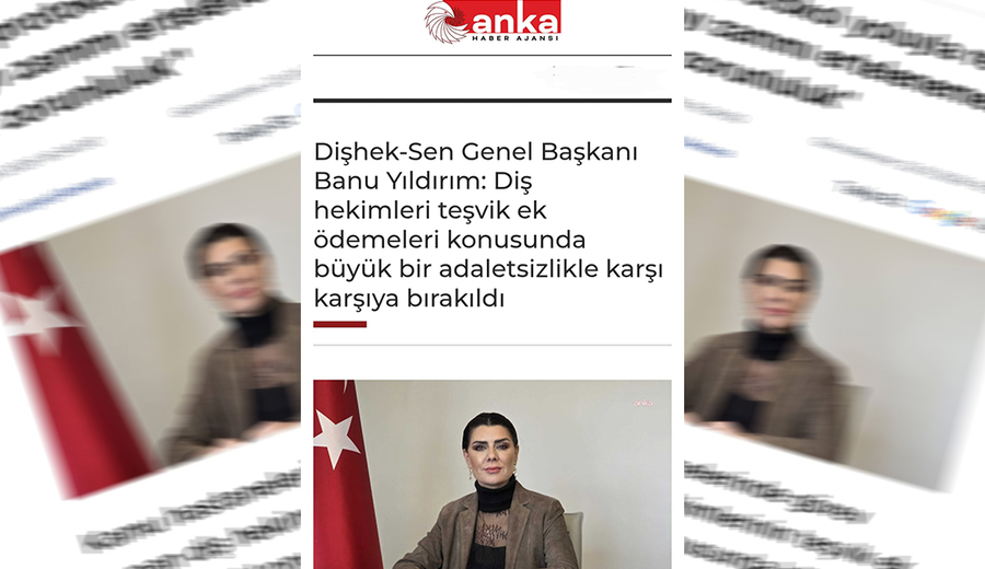 Dişhek-Sen Genel Başkanı Banu Yıldırım, Anka Haber'e açıklamalarda bulundu
